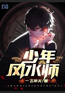 少年风水师赵公明小说