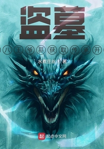 盗墓王小说
