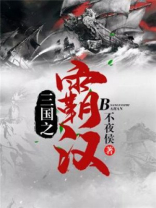 三国之霸汉君临 小说