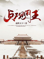 贞观贤王TXT下载