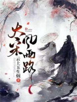 风雨大宋作者疯了