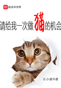 帮我做我的猫