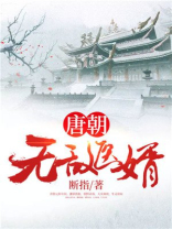 无敌医婿小说