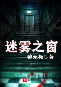 迷雾之窗 魏无极
