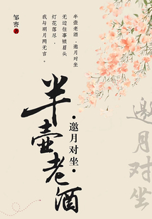 半壶老酒醉人生