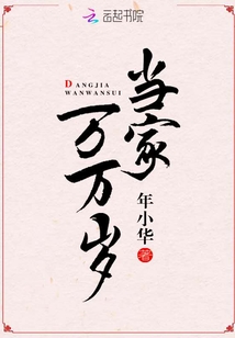当家万万岁类似小说推荐