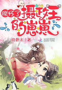 朕怀了摄政王的崽崽 小说 小说