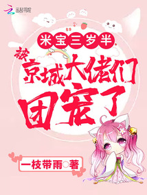 米宝三岁半被京城大佬们团宠了,作者一枝带雨