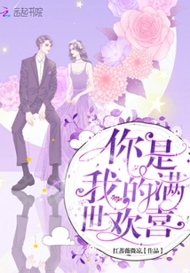 你是我的满世欢喜小说免费阅读
