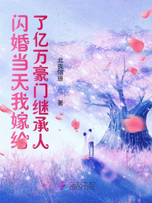 闪婚当天我怀了豪门继承人大结局