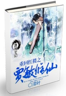 重回红楼之贾敏修仙百度云