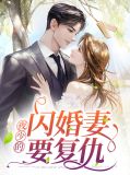 夜少的闪婚妻要复仇