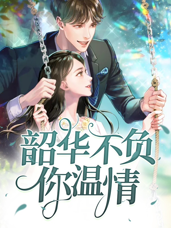 不负韶华小说