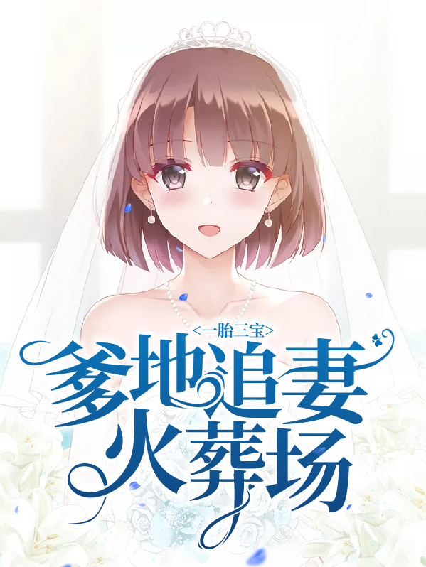 一胎三宝爹地追妻路漫漫小说全文免费阅读