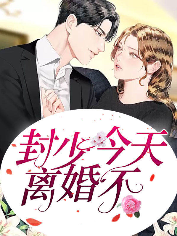 封少离婚请放手