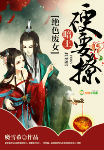 暗王来接驾小说