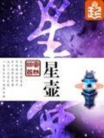 星壶TXT下载