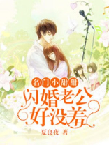 名门甜宠,闪婚老公