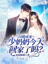 闪婚成宠少奶奶今天回家了吗TXT