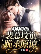 裴夫人,你已婚免费阅读