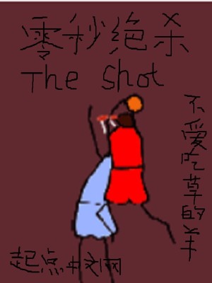 零秒绝杀小说