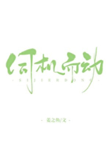 伺机而动小说