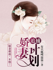 追捕小说免费阅读