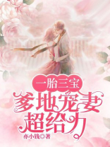 一胎三宝:总裁爹地超给力全文免费阅读