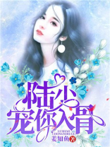 封少宠妻入骨完整版