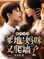 龙凤双宝爹地妈咪又爬墙了
