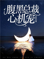 腹黑总裁心机宠妻小说