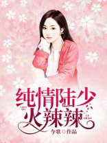 纯情陆少小说