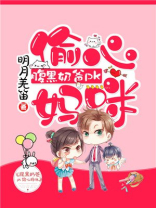 腹黑奶爸pk偷心奶妈全书多少章