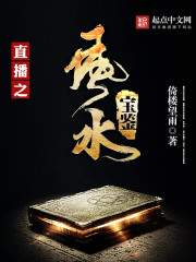 风水宝鉴小说