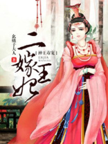 神王毒宠:二嫁王妃晏无悔凤九霄