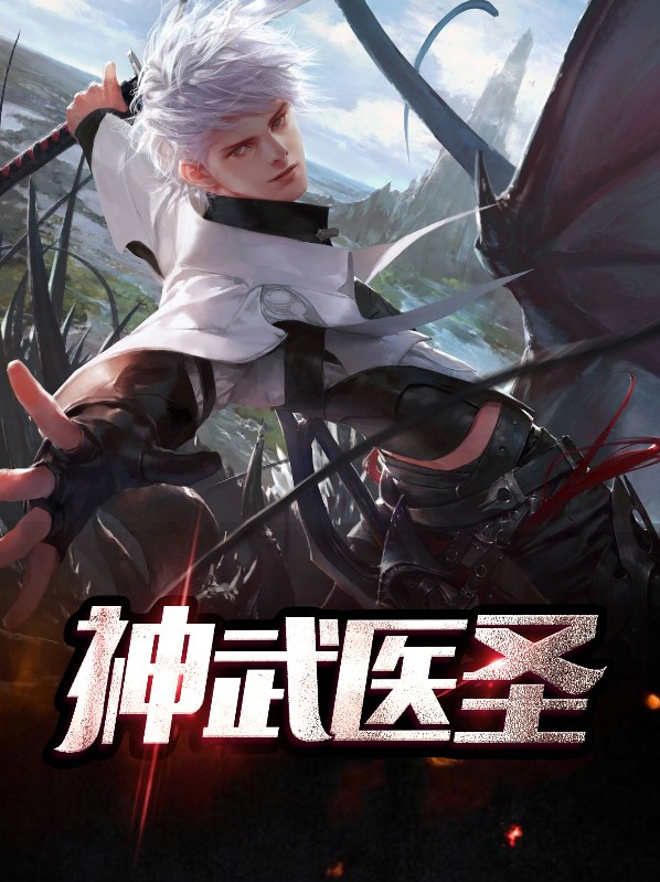 神武医圣小说