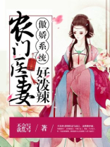 小说傲娇系统,农门医妻