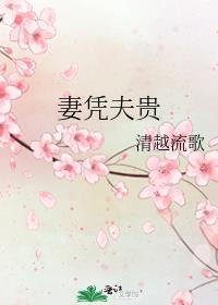 妻凭夫贵全文免费阅读大结局