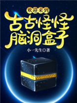 欢迎来到古古怪怪盒子 小说