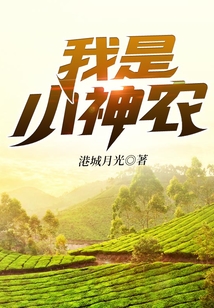 我是小神农TXT奇书网下载