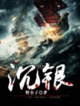 沉银是什么意思