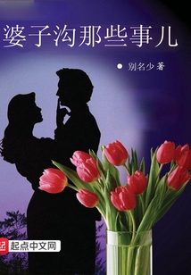 婆子沟那些事儿徐鸿小说
