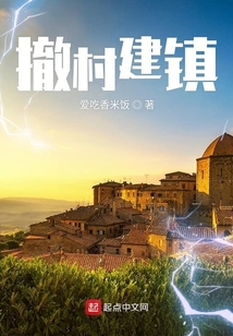 撤村建镇 小说