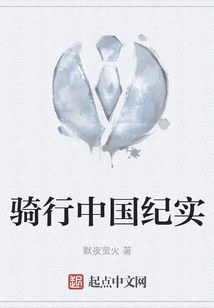 骑行中国纪实小说
