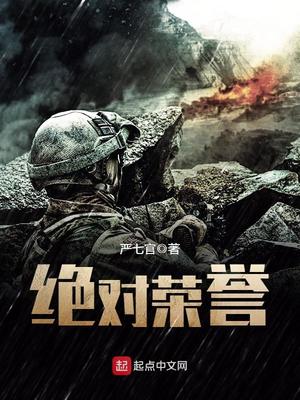 绝对荣誉小说免费阅读笔趣阁