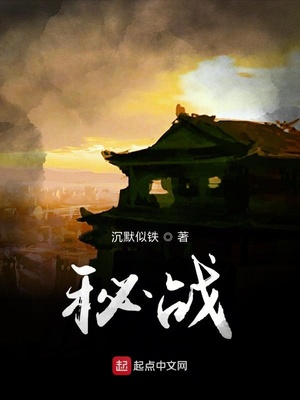秘战精英