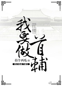 红楼我要做首辅简介