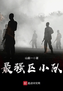 最强区小队听书