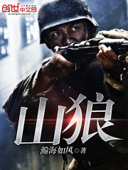 山狼山地自行车