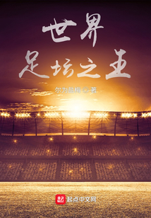 世界足坛之王小说TXT